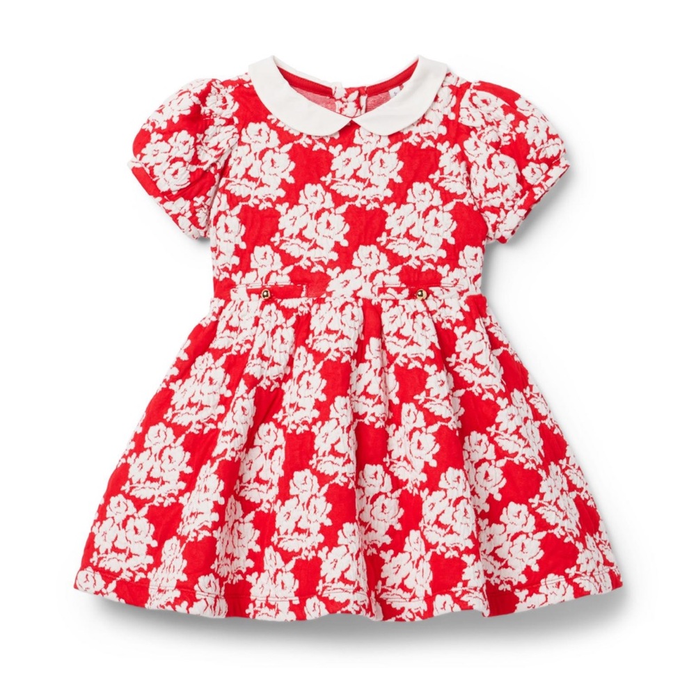 Janie and Jack Rose Jacquard Collar Dress